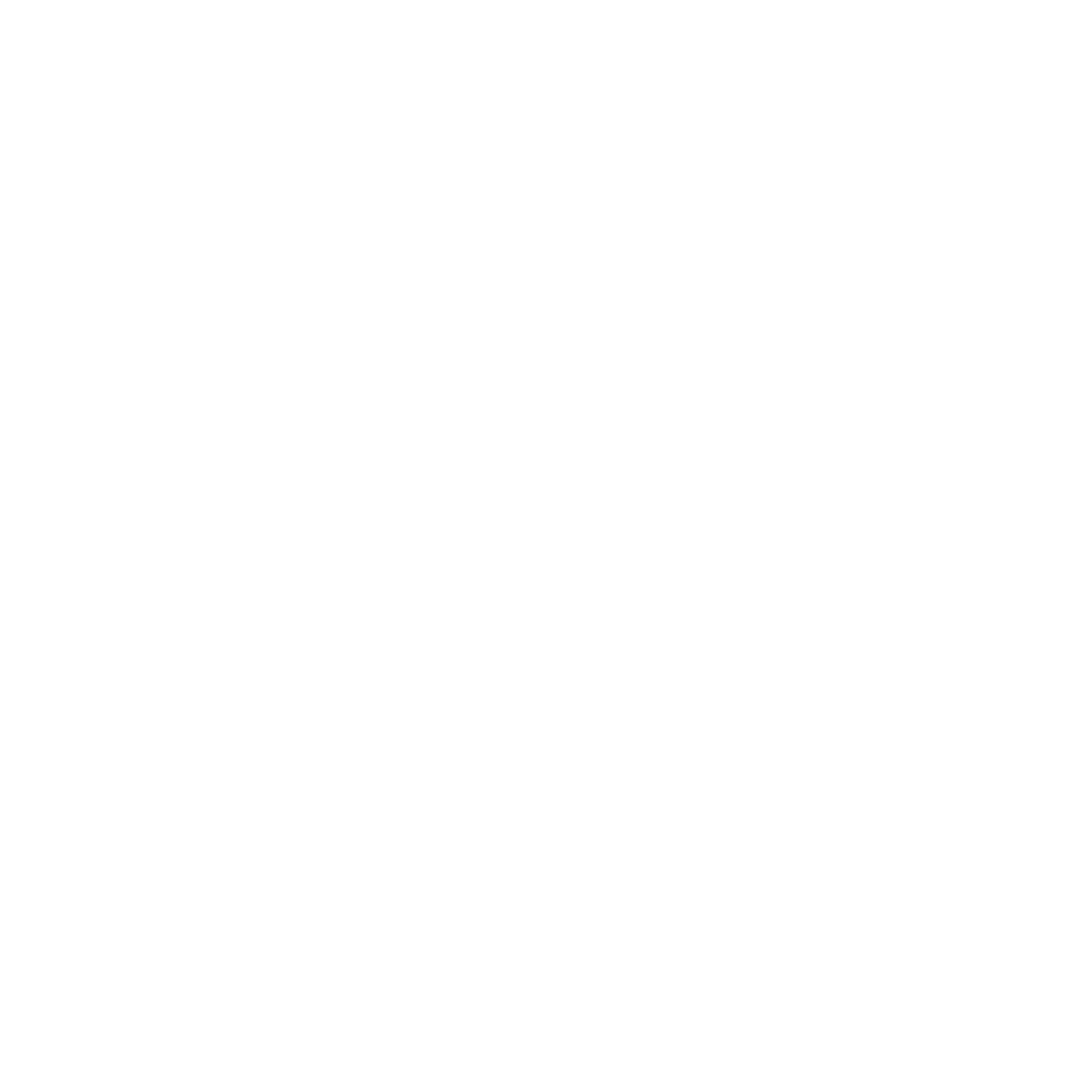 YSAM Logo